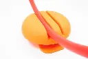 WalliBari Hoop-Horlders, 4er-Set