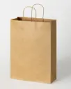 SAC KRAFT 40.5X24X7 CM/ PAQUET DE 20