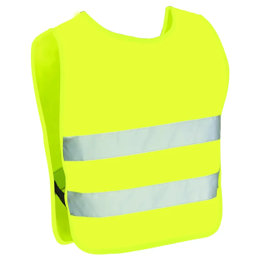 COUSSIN DE SOL XL GOWI