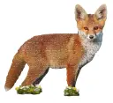 IAM LIL'RENARD, 100 PIÈCES 