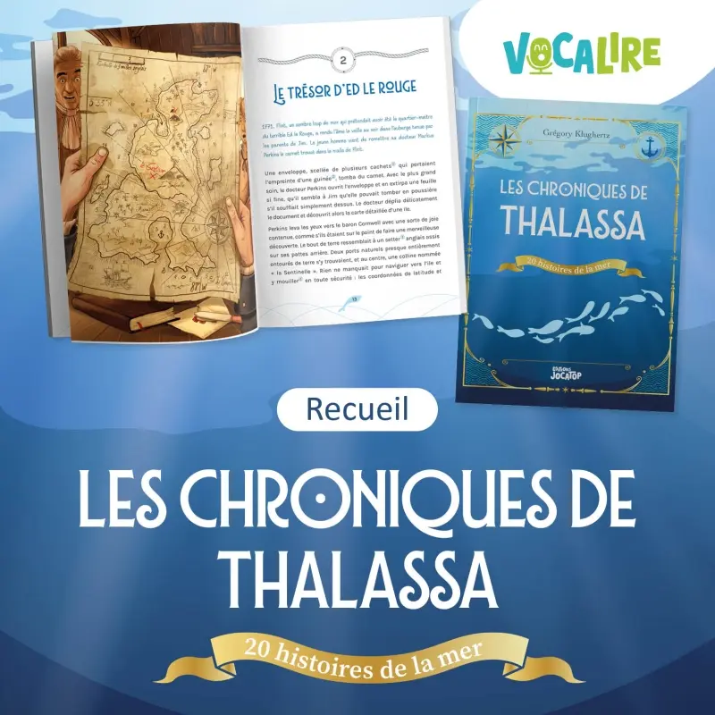 LES CHRONIQUES DE THALASSA, LE ROMAN