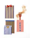 SACHETS EN PAPIER RAYÉ