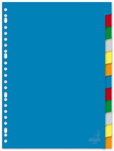 [3725] A4 12-POS OPAQUE PLASTIC DIVIDERS