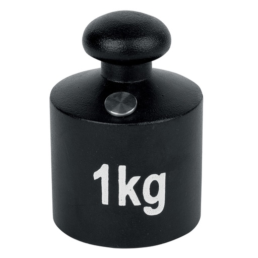 [6005] POIDS DE 1KG