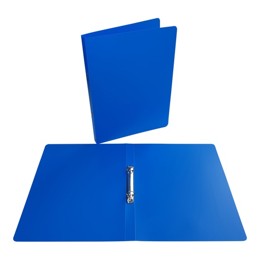 2 A.A4 PLASTIC ORIGINEEL. 2CM RUG *KLEUR