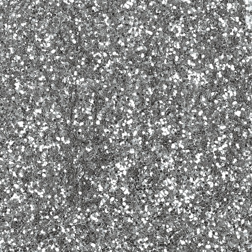 [814002B] BIODEGRADABLE SILVER SEQUINS, 113GR JAR