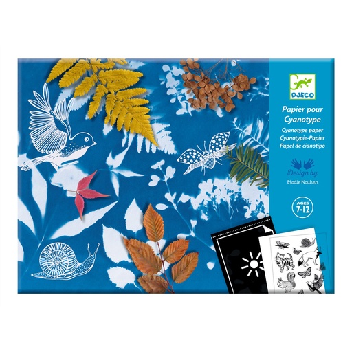 [99935] CYANOTYPE STARTER KIT