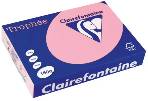 [280704H] REPROPAPIER A4 160G HELLFARBIG /100 PINK