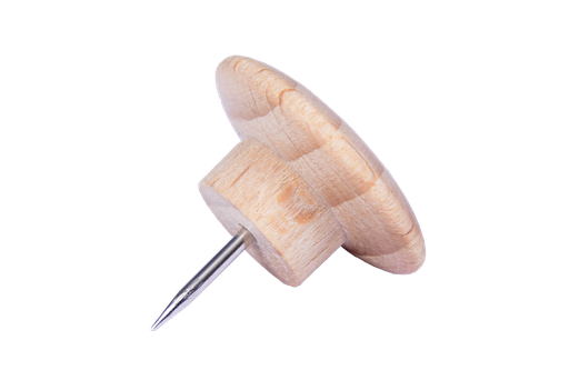 [73203] WOODEN PUSH PINS, 25 PIÈCES
