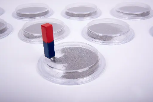 [601305] THE POWER OF MAGNETS, SET OF 10