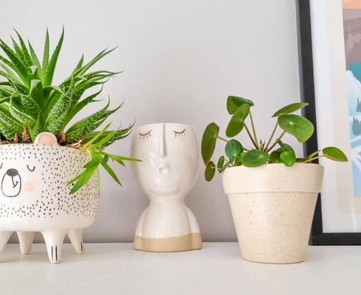 [80924] BAMBOO POT, Ø 9.5 cm