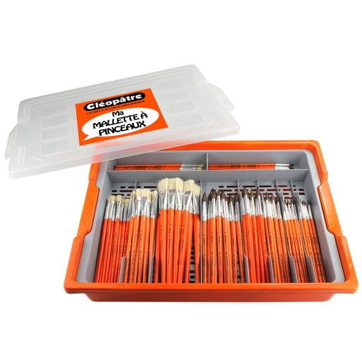 [5172] BRUSH CASE, 100 BRUSHES