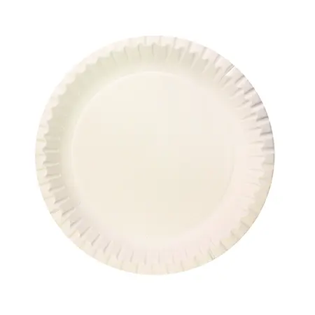 [8104C] 23CM PAPER PLATES, PACK OF 20