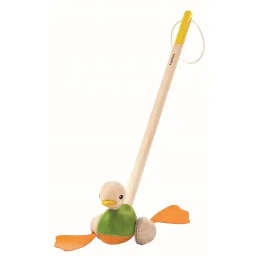 [3122] CANARD À POUSSER