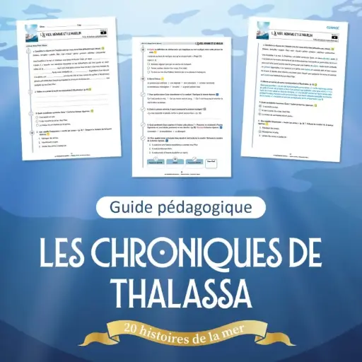 [JC7901] LES CHRONIQUES DE THALASSA, LE FICHIER