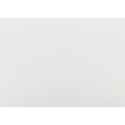 [2109] STEINBACH PAPIER 250G 55X73/VEL