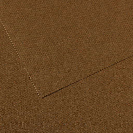 [212618] CANSON MI-TEINTE BROWN PAPER