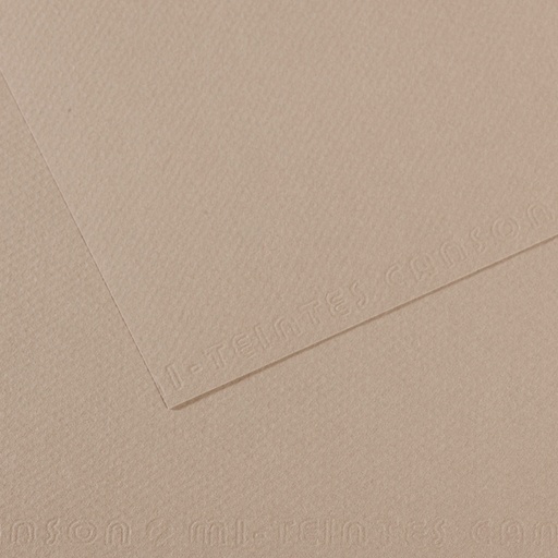 [212631] CANSON MI-TEINTE GRIJS FLANELPAPIER