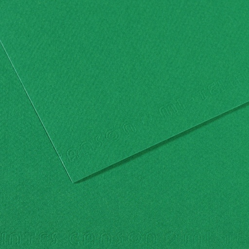 [212637] PAPIER CANSON MI-TEINTE VERT BILLARD