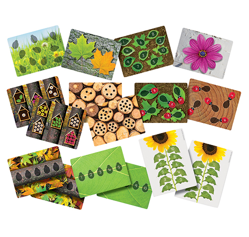 [9246B] ACTIVITY CARDS, LADYBUGS