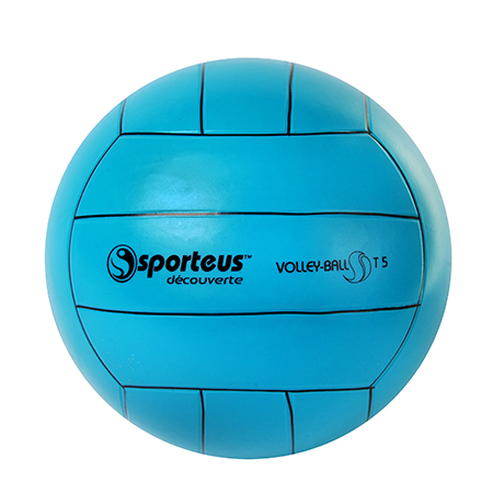 [9613] VOLLEYBAL, MAAT 5