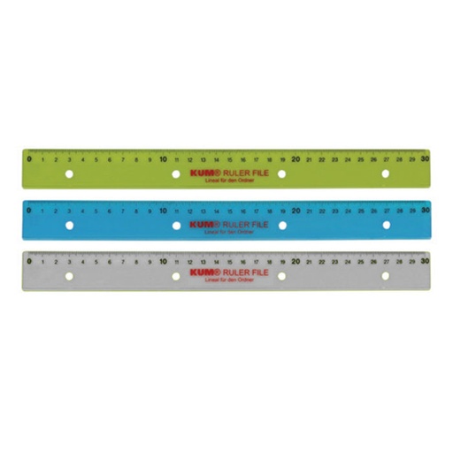 [7416] 30CM PLASTIC SLAT 4 HOLES