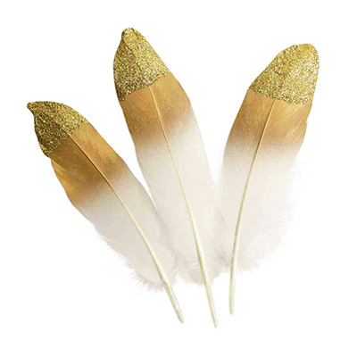 [82754] GOLD-TIP FEATHERS, BAG OF 10
