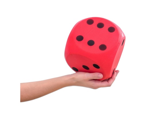 [115003] DOBBELSTENEN MET SCHEMA'S - 16 CM, PER STUK