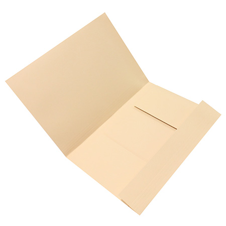 DOOS MET 50 DIN FLAP-MAPPEN *KLEUR VERSCHILLEND